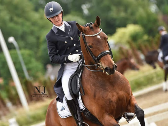 Mijn Grand Prix paard doet het super op Vitalbix!