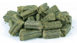 Foto-Healthy-Horse-Treats