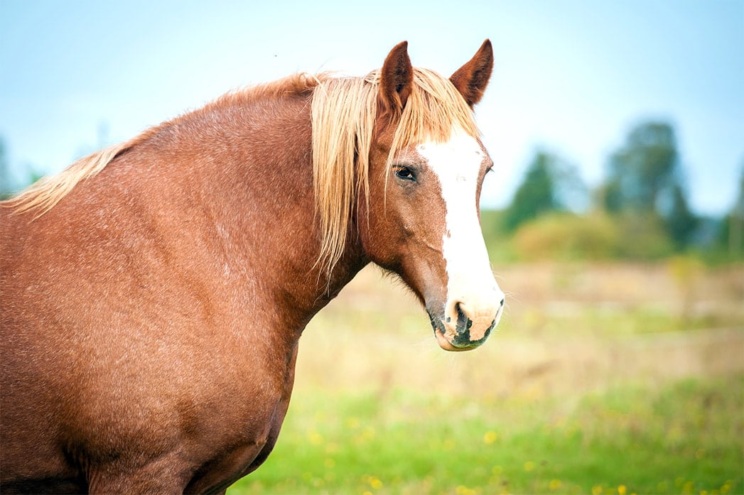 Foto blog overgewicht en energie