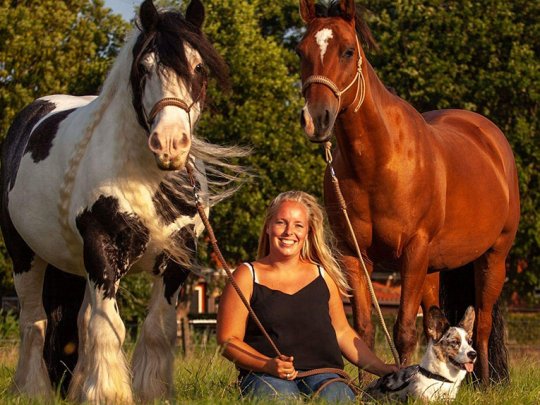 Mijn paarden zien er fantastisch uit!