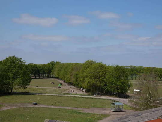 Top begeleiding en de paarden doen het super!