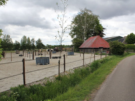 Dé oplossing voor zowel sportpaarden als recreatiepaarden!