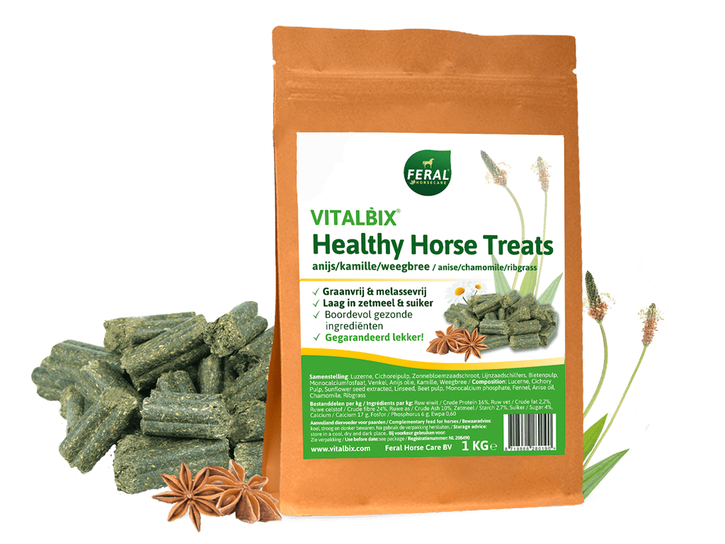 2x Vitalbix Healthy Horse Treats Anijs Paardensnoepjes zonder suiker