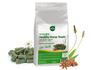 Vitalbix Healthy Horse Treats Anijs
