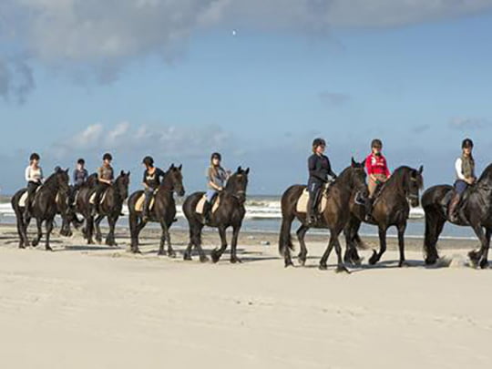 Uitgebreid advies & begeleiding