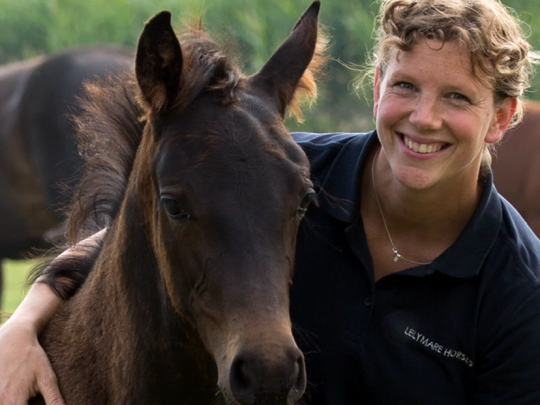 Gezonde voeding voor onze merrie’s, veulens & jonge paarden