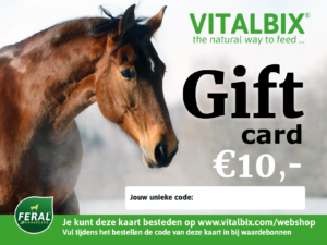 Vitalbix Gift Card € 10,-