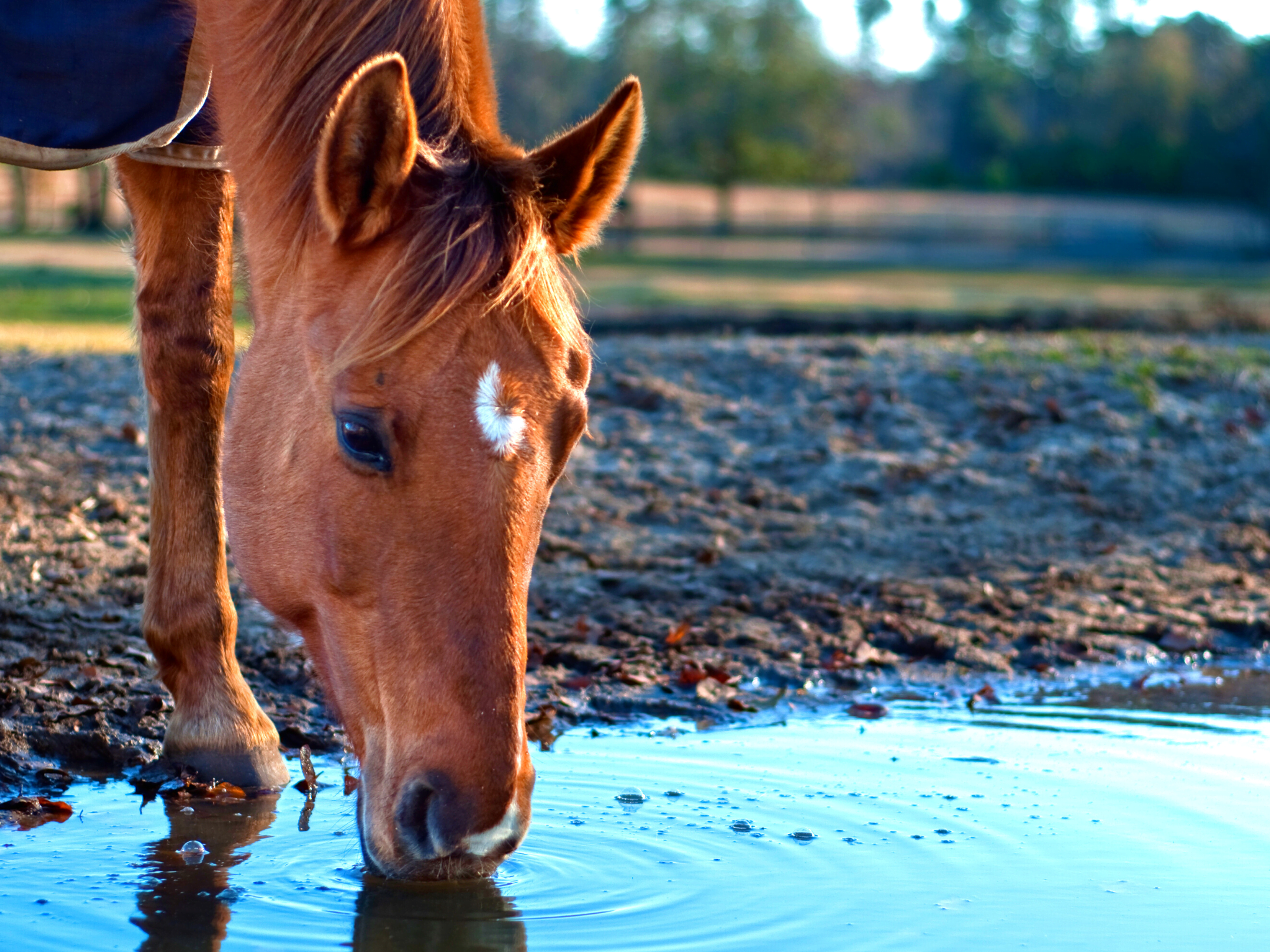 Ontwerp zonder titel (23)