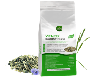 Vitalbix Balance+ Muesli