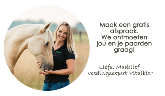 Foto madelief maak een afspraak blok xl boxen 2023