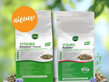 Vitalbix Balance+ vs Active+ Muesli – wanneer voer je wat?